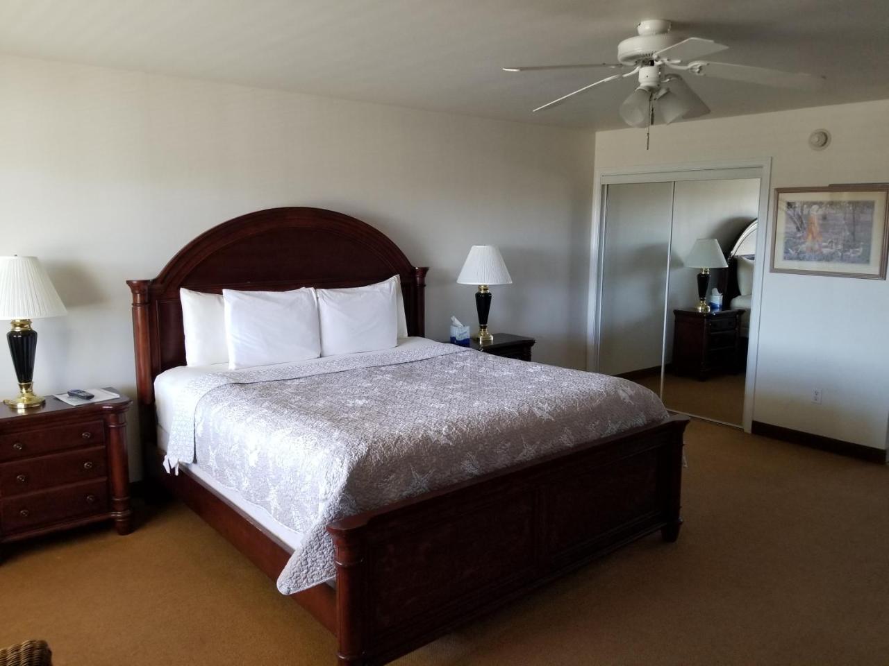 קייפ צ'ארלס Shore Stay Suites מראה חיצוני תמונה